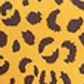 Yellow Leopard