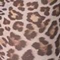 Leopard mesh